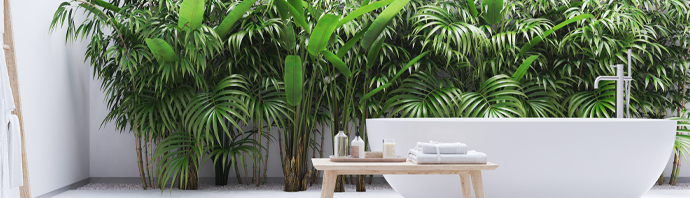tendance-bain-zen-exotique-nature-plante Tendance bain zen exotique nature plante